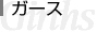�K�[�X